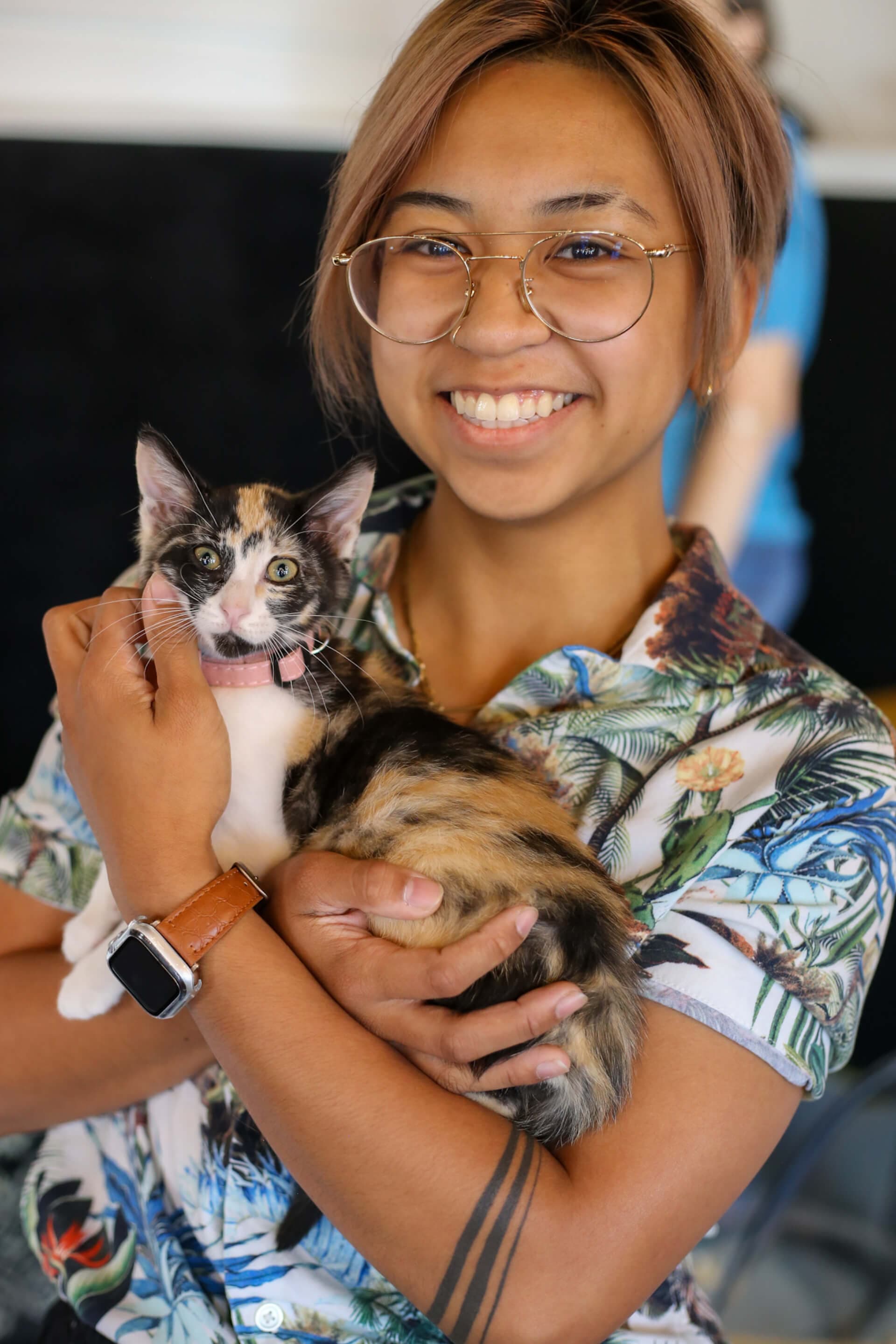 One of our finest felines at Cats & Caffeine! 